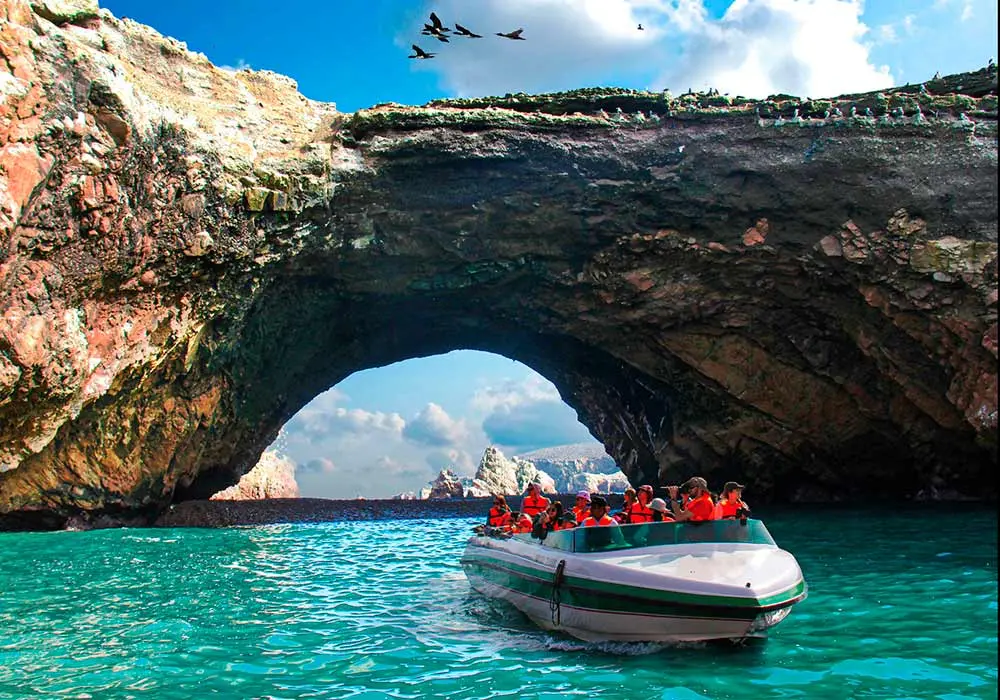 Paracas e Islas Ballestas – Full Day